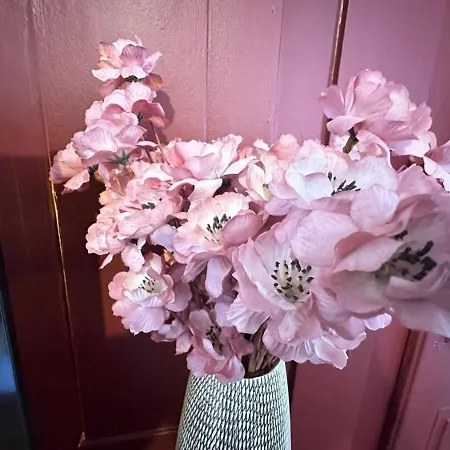 Le Chic Framboise - Terrasse - Centre * Le Mans